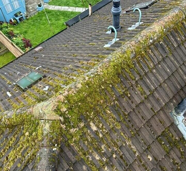 Roof Maintenance in clarkston