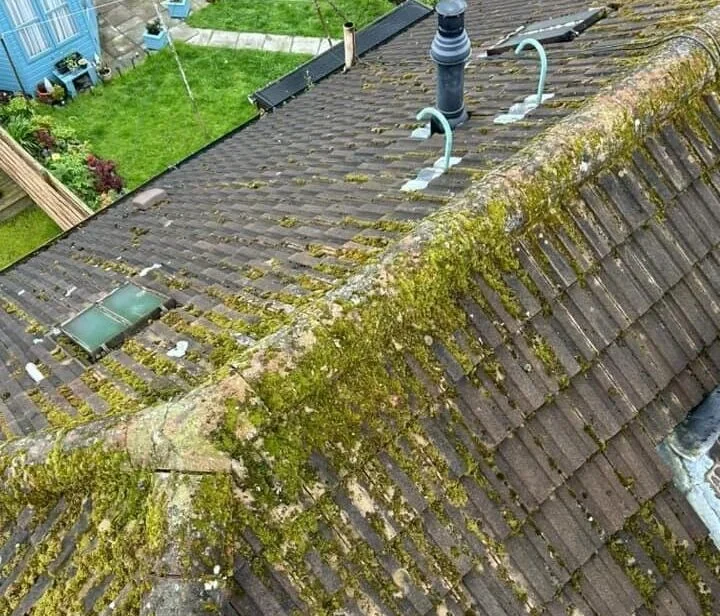 Common Roofing Problems in newton mearns